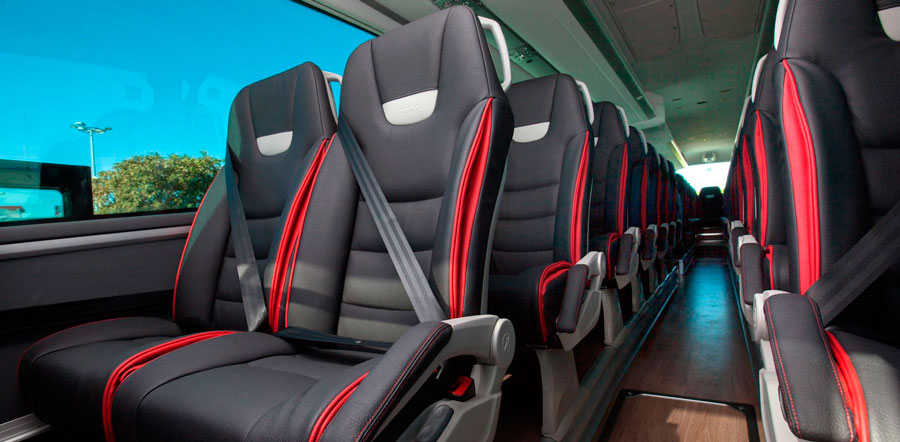 ¿Quién debe usar los cinturones de seguridad en un autobús?